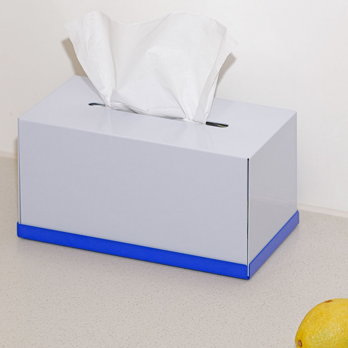 rareraw・STANDARD TISSUE CASE S/L(BOX)鋼材面紙盒