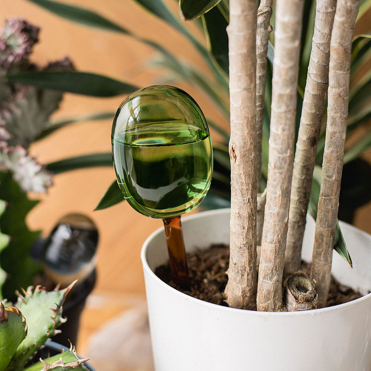 amabro・TWO TONE WATER DISPENSER 植物自動補水器