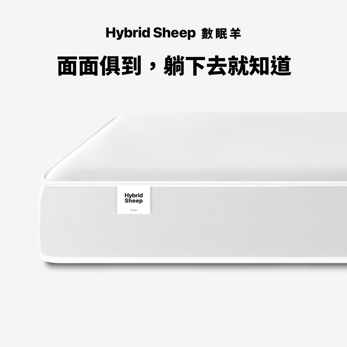 Sheeper・數眠羊床墊 Hybrid Sheep 日規尺寸