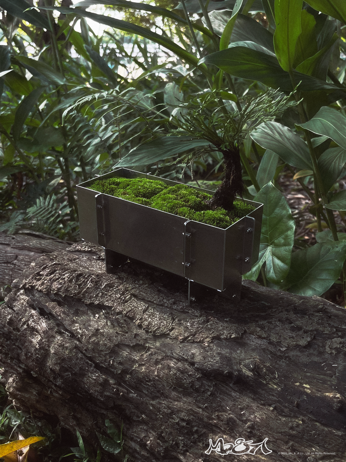 Mo_&_A・Bolted-Joint Planter 不鏽鋼花盆