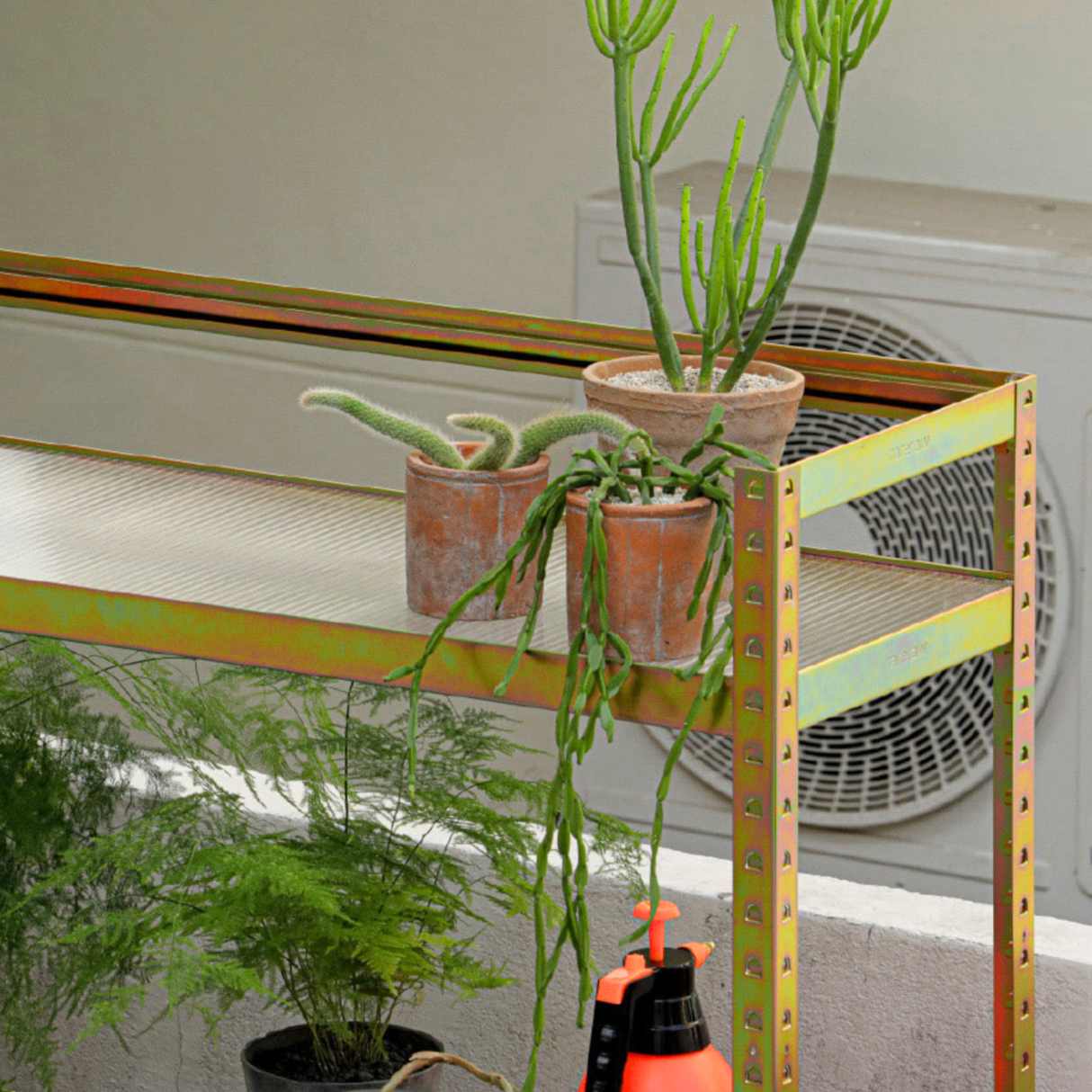 rareraw・RRR PLANT RACK