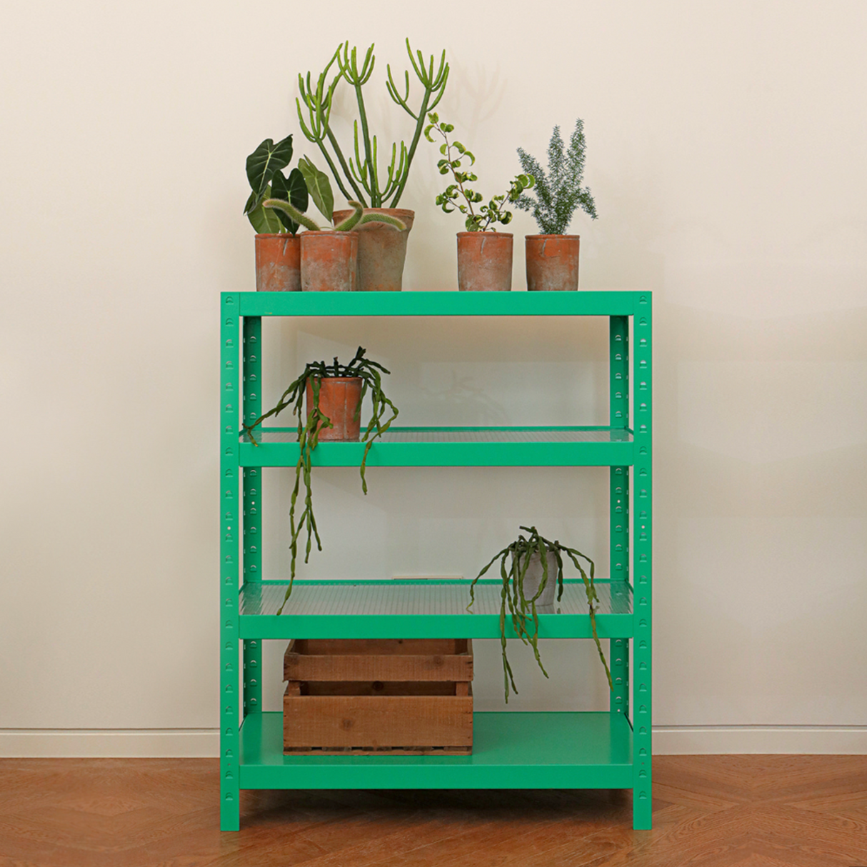 rareraw・RRR PLANT RACK