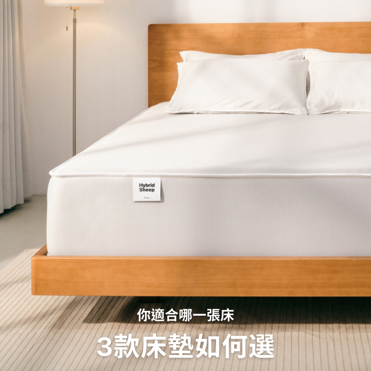 床墊怎麼選？Sheeper 三款機能床墊推薦，一次挑對適合你的躺感！