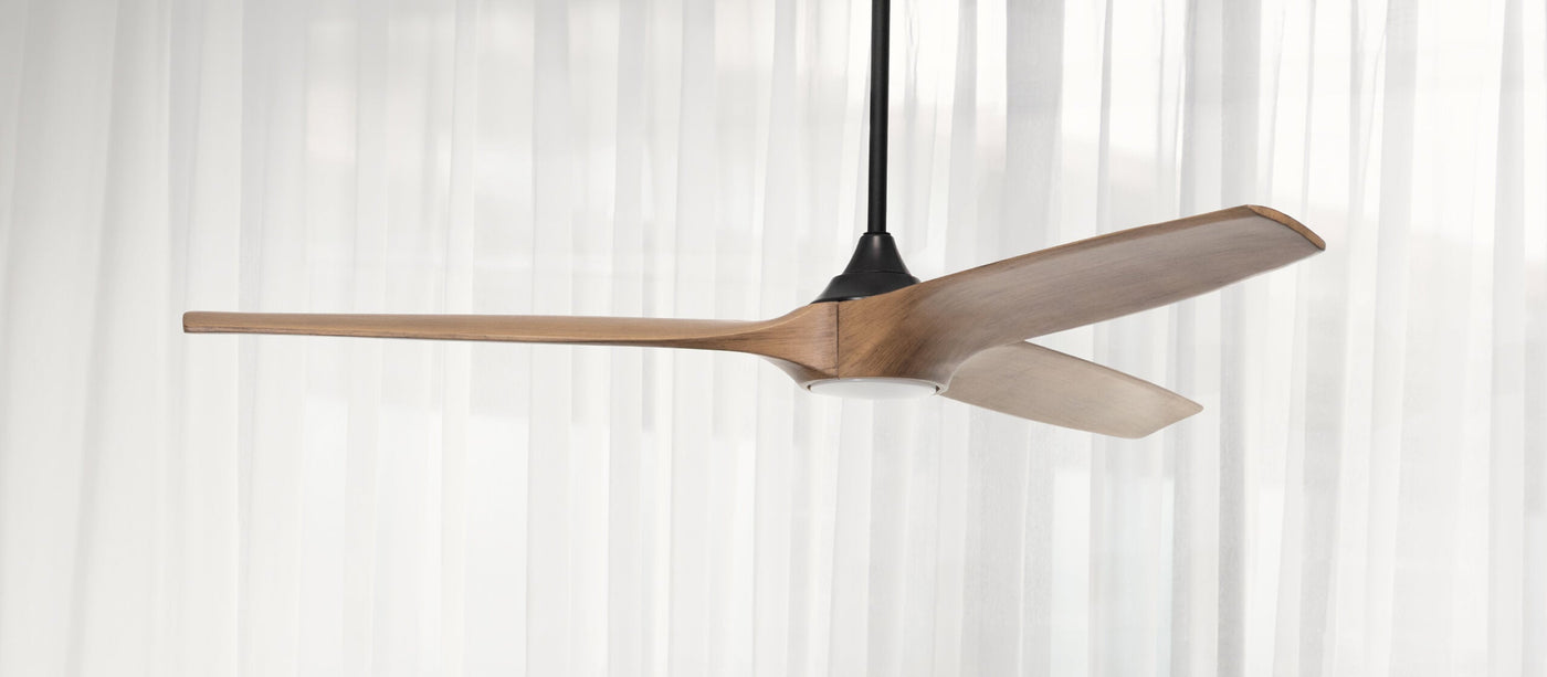 Ceiling fan