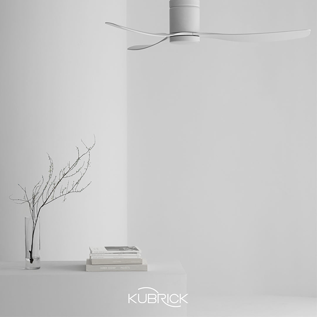 KUBRICK・TUBE 50 平光白