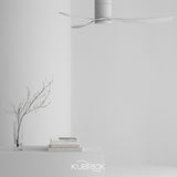 KUBRICK・TUBE 50 平光白