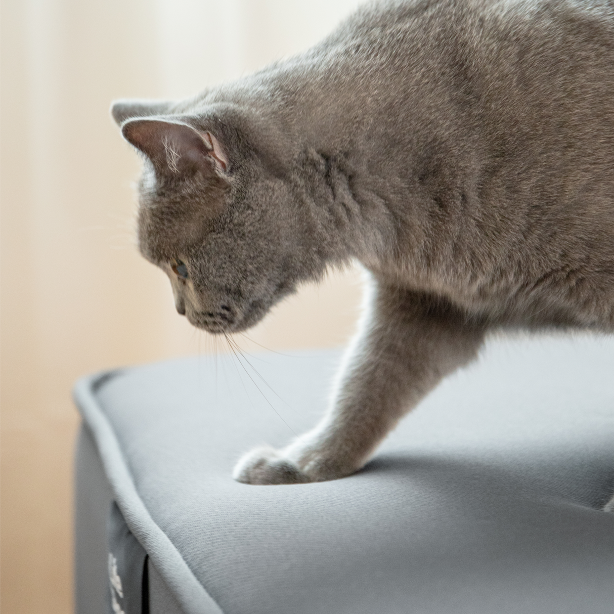 Sheeper・輕眠羊床墊 Lite Sheep 歐規尺寸