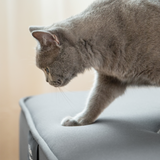 Sheeper・輕眠羊床墊 Lite Sheep 歐規尺寸