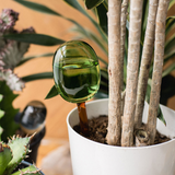 amabro・TWO TONE WATER DISPENSER 植物自動補水器