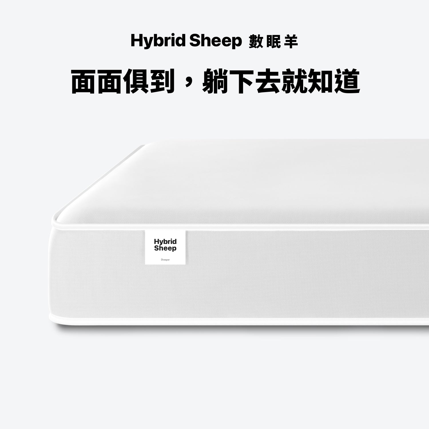 Sheeper・數眠羊床墊 Hybrid Sheep 台規尺寸