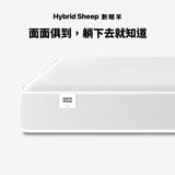 Sheeper・數眠羊床墊 Hybrid Sheep 日規尺寸