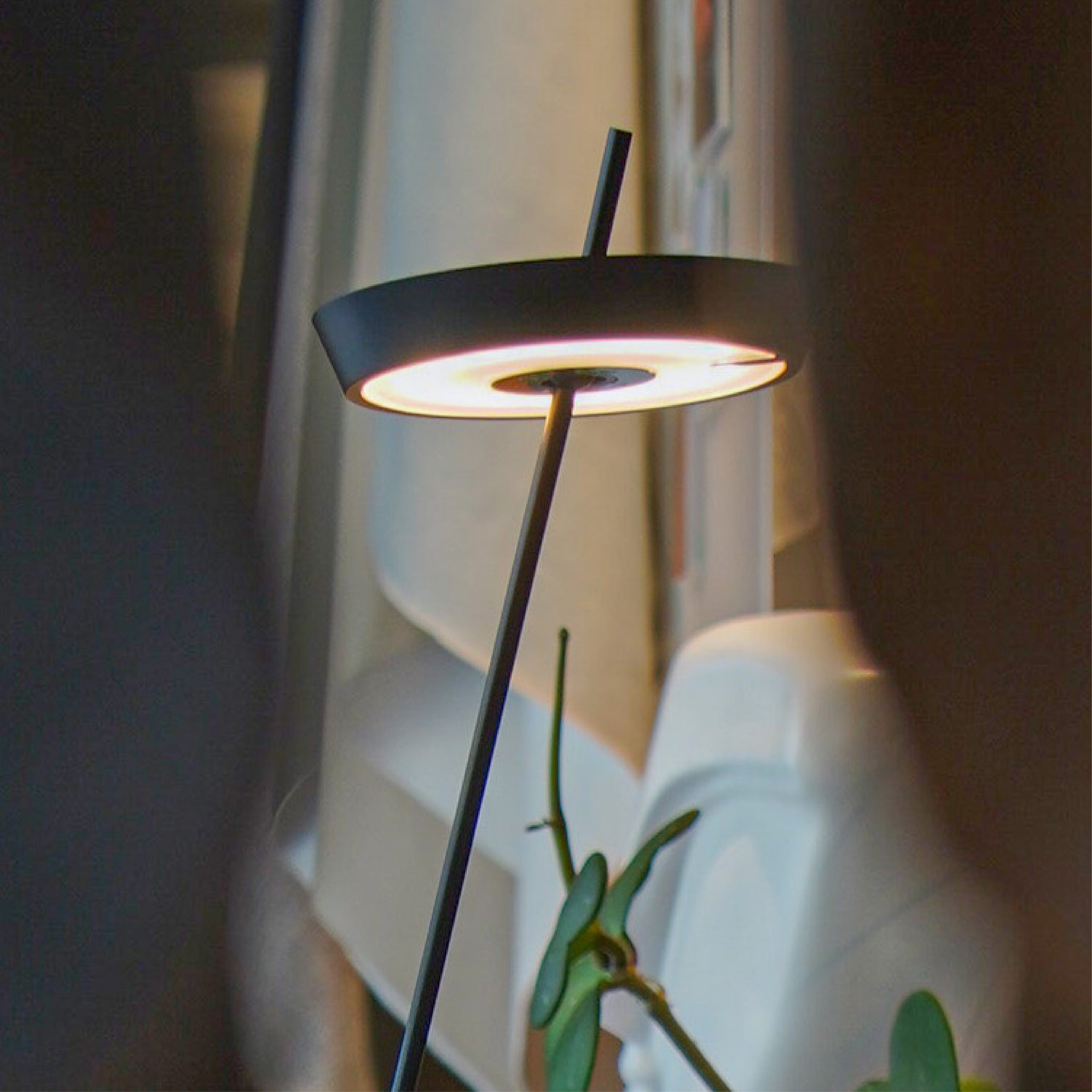 UBIQUA・Torus Floor 充電式直立落地燈