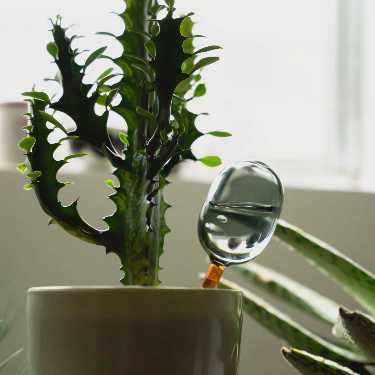amabro・TWO TONE WATER DISPENSER 植物自動補水器
