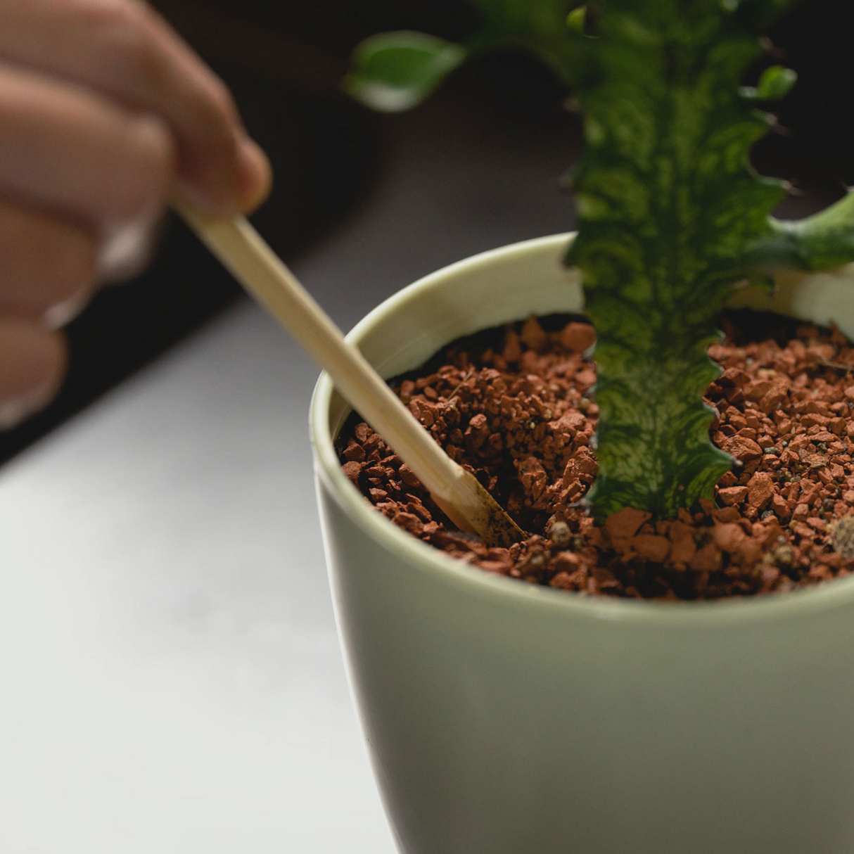 amabro・TWO TONE WATER DISPENSER 植物自動補水器