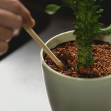 amabro・TWO TONE WATER DISPENSER 植物自動補水器