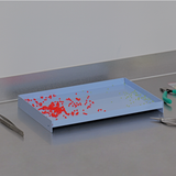 rareraw・BAN TRAY 收納托盤