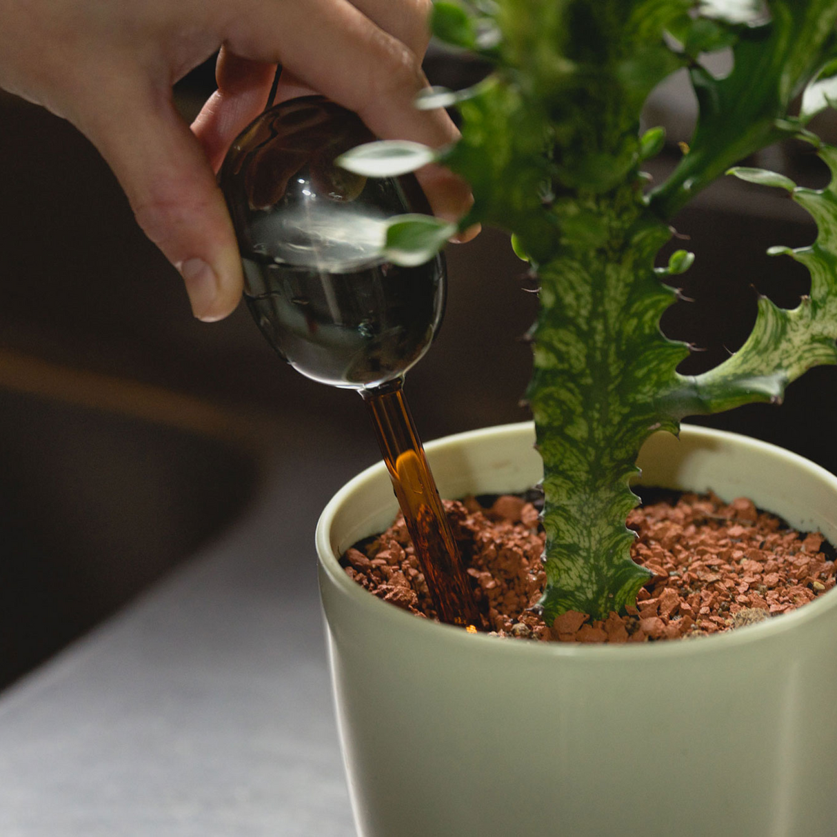 amabro・TWO TONE WATER DISPENSER 植物自動補水器
