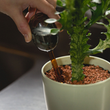 amabro・TWO TONE WATER DISPENSER 植物自動補水器