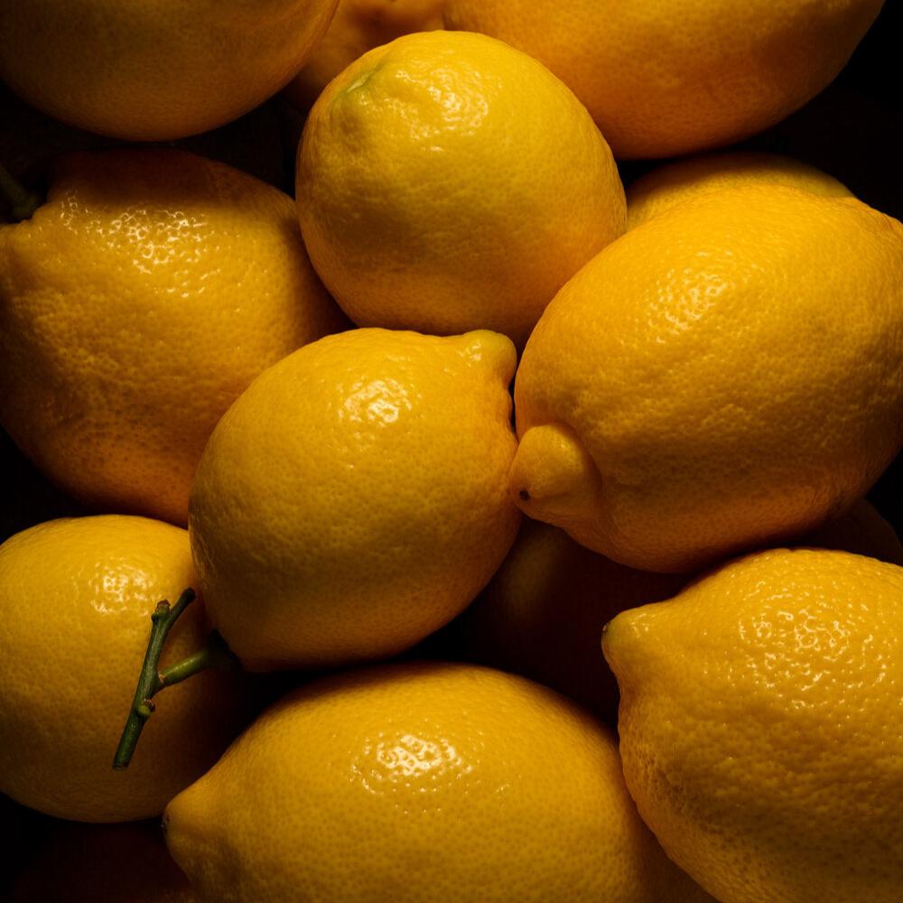 若水 La brume・MarieJeanne - Centifolia Rose 千葉玫瑰（限 Sheeper 店取）