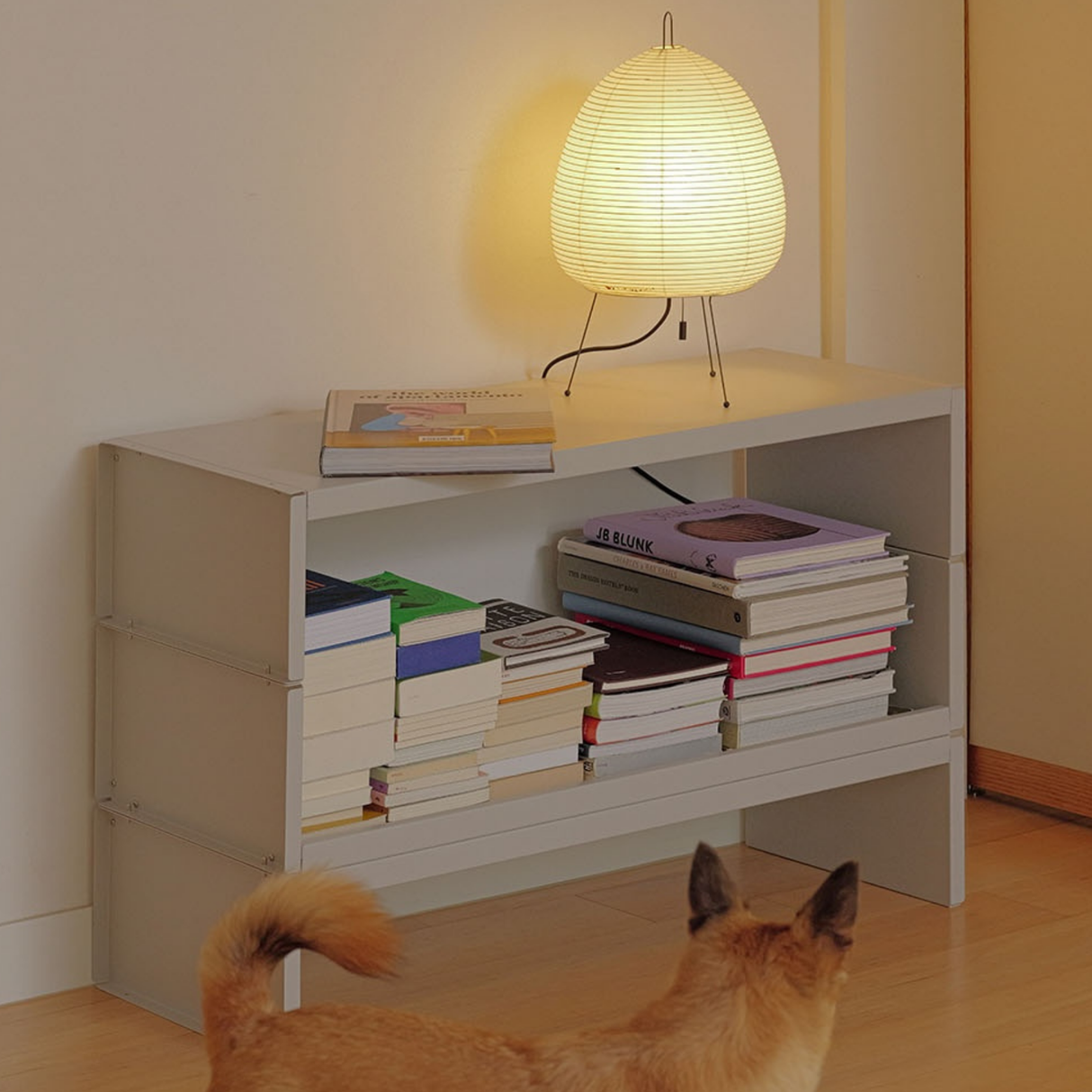 rareraw・PO STACKING SHELF 堆疊式層架(單層)