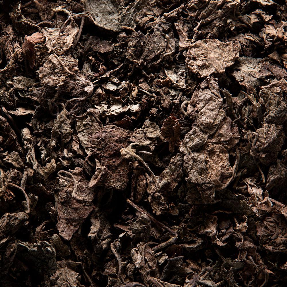 若水 La brume・MarieJeanne - Paulette 樟腦 x 薰衣草（限 Sheeper 店取）