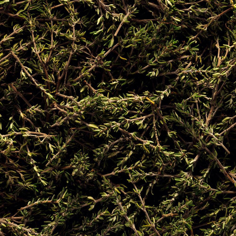 若水 La brume・MarieJeanne - Paulette 樟腦 x 薰衣草（限 Sheeper 店取）