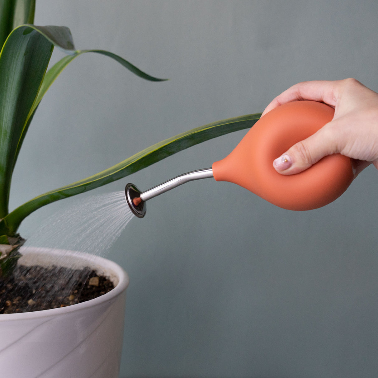 amabro・SPRINKLER BALL 球型手壓噴壺